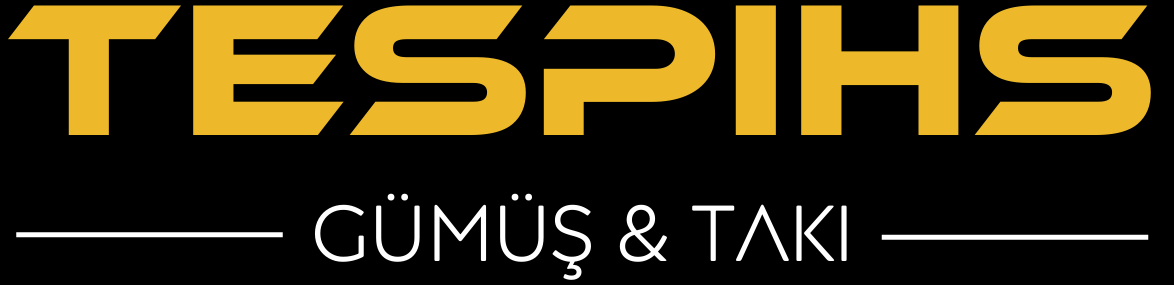 Ekran görüntüsü 2025-04-28 211923